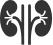 Chronic Kidney Disease 